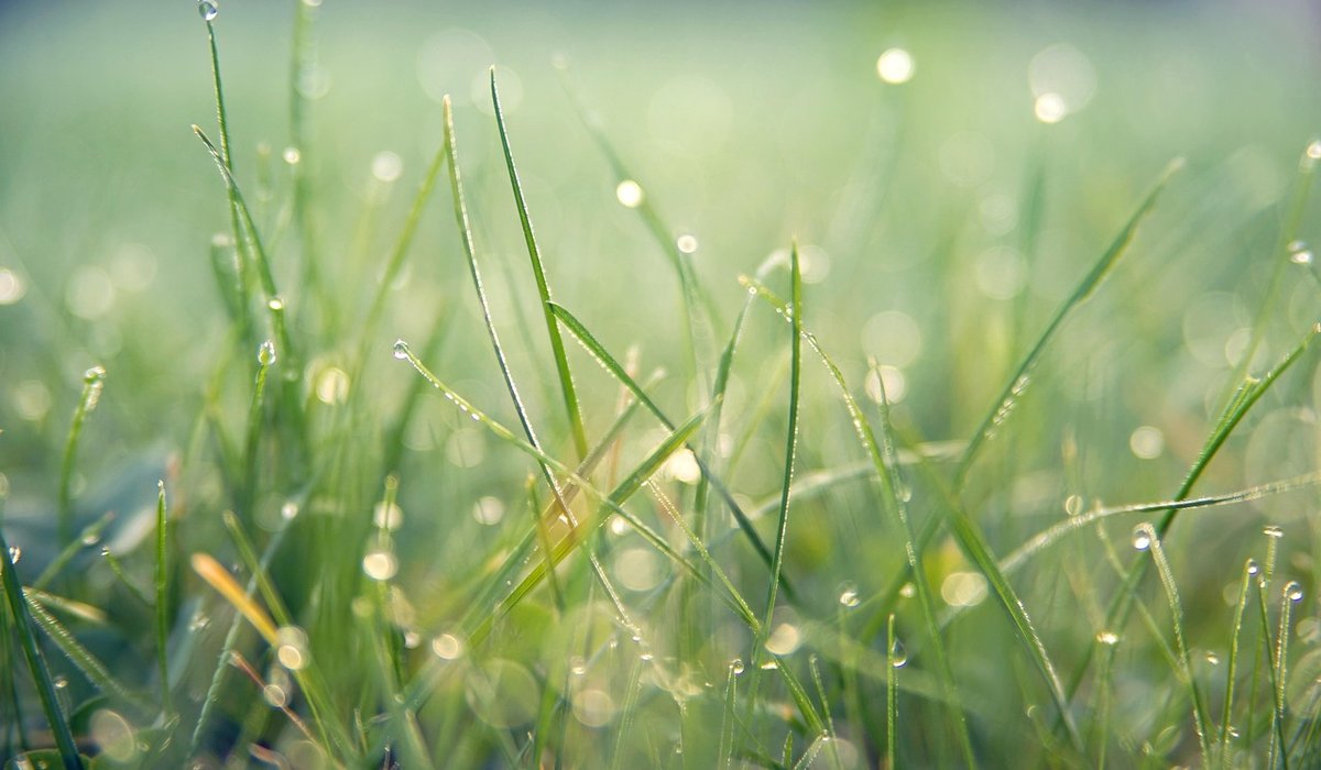 Reading the Green Before Every End